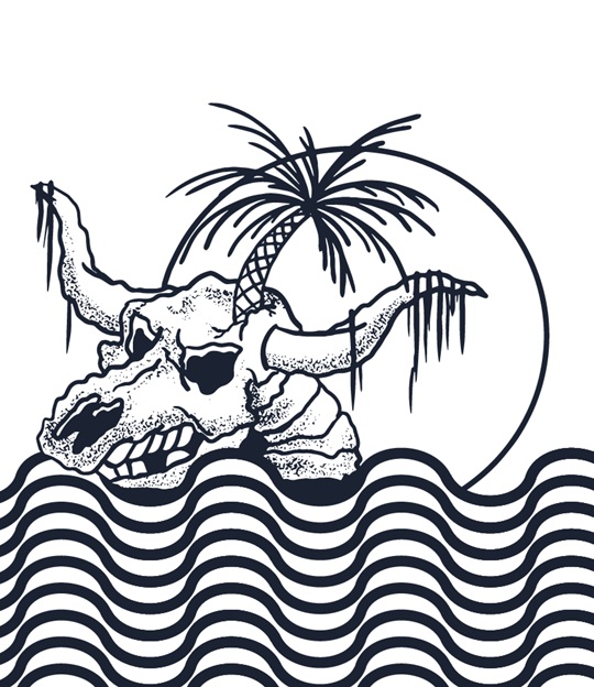 BejkRoll LSD EDITION Kiteboard + Vázání - detail grafika