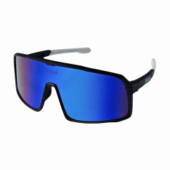 Sunglasses BejkRoll Champion REVO + EVA Box - black/white - green/blue mirror