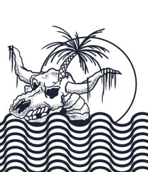 BejkRoll LSD EDITION Kiteboard + Binding - detail graphics