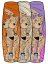 BejkRoll HOT Edition Kiteboard + Binding - Color: Purple - pink flashes, Technology: Carbon