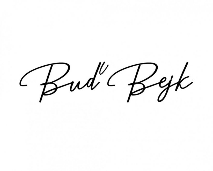 T-Shirt BejkRoll Buď Bejk (Be Bull) white short sleeve - front logo