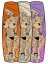BejkRoll HOT Edition Kiteboard + Vázání - Barva: zelená, Technologie: Sklolaminát
